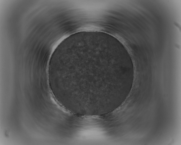 X0000101220864200807111055