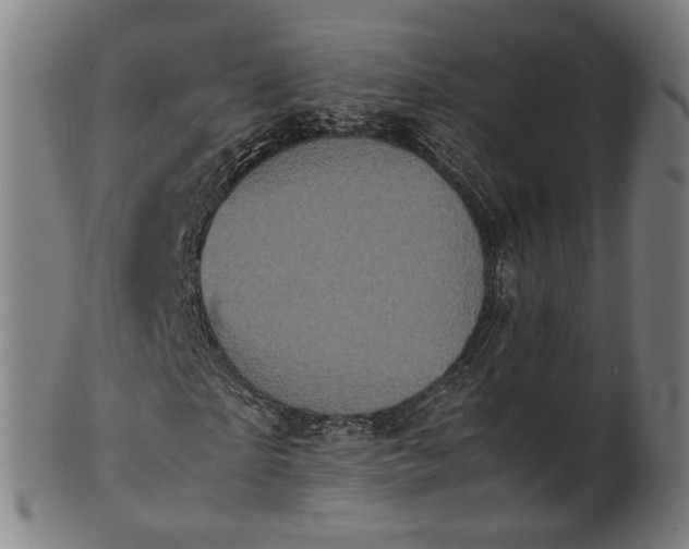 X0000101220865200807111054