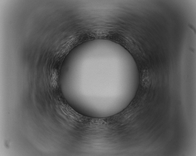 X0000101220866200807111054