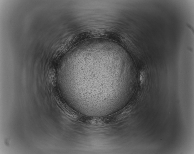 X0000101220867200807111054