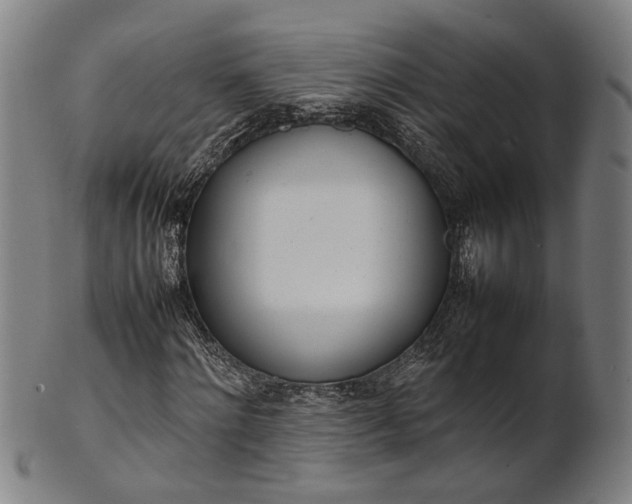X0000101220868200807111054