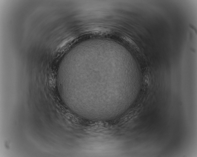 X0000101220869200807111054