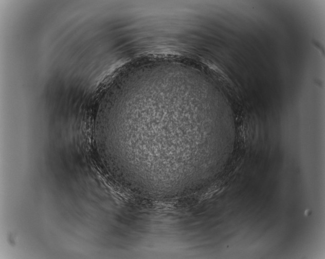 X0000101220870200807111054
