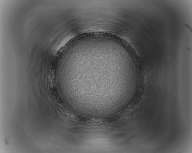 X0000101220871200807111054
