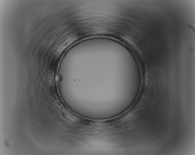 X0000101220873200807111054
