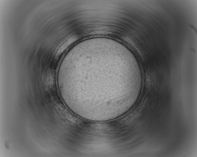 X0000101220874200807111054