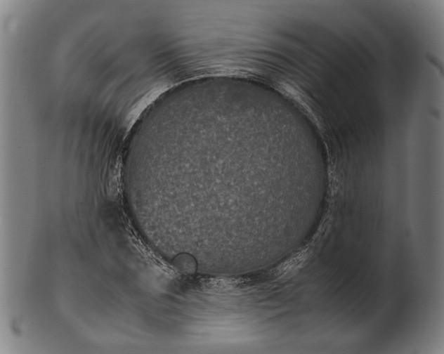 X0000101220875200807111054