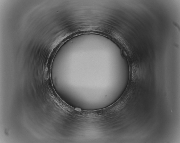 X0000101220876200807111054