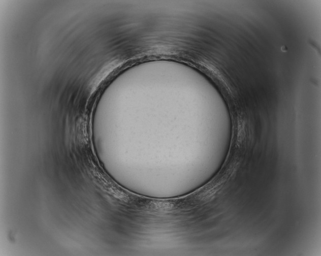 X0000101220878200807111054
