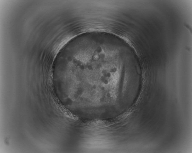 X0000101220879200807111054