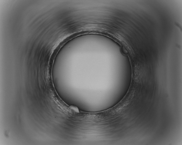 X0000101220880200807111054