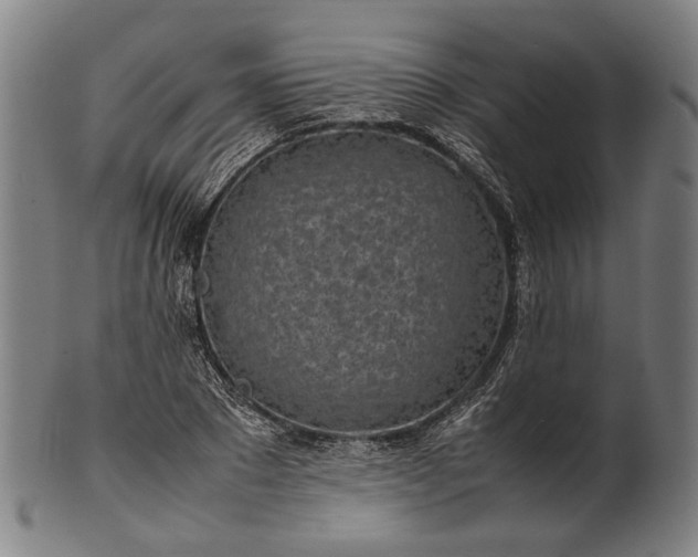 X0000101220881200807111054