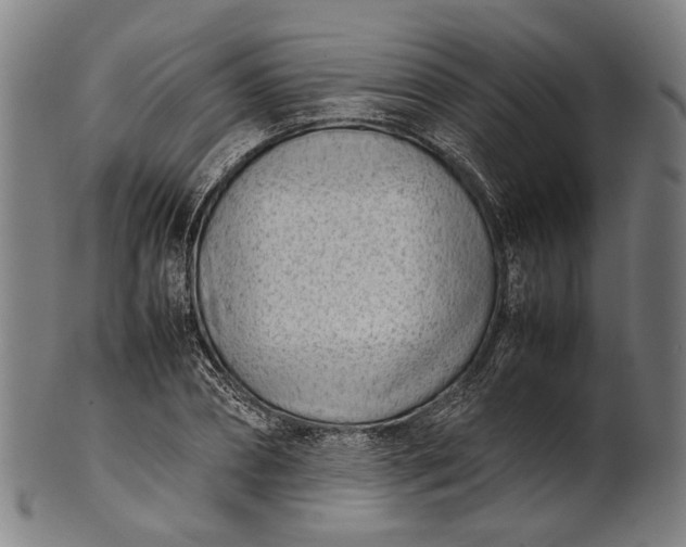 X0000101220882200807111054