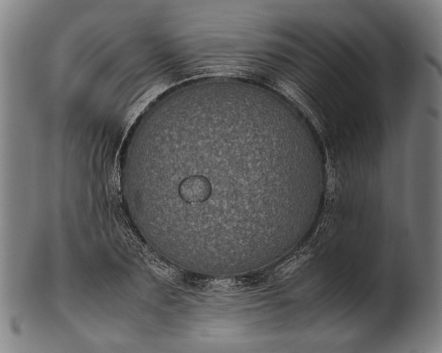 X0000101220883200807111054