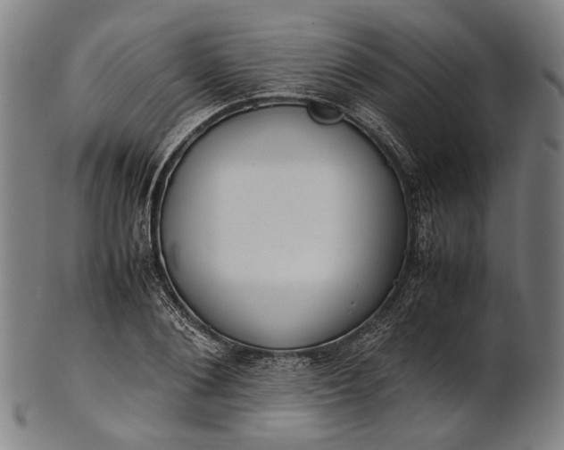 X0000101220884200807111054