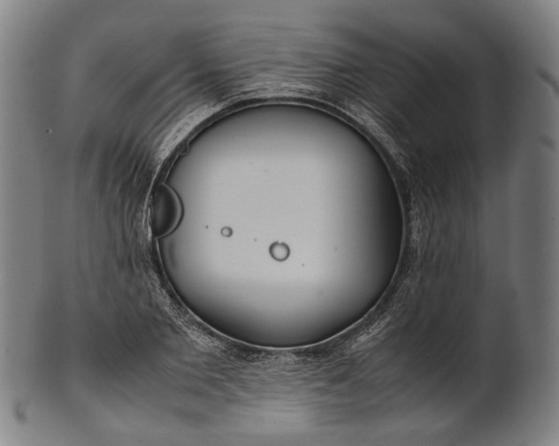 X0000101220885200807111054