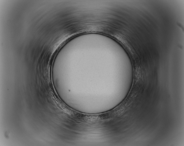X0000101220886200807111054