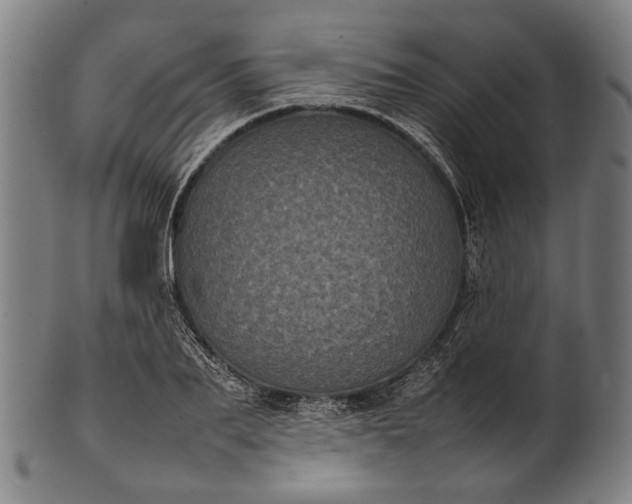 X0000101220887200807111054