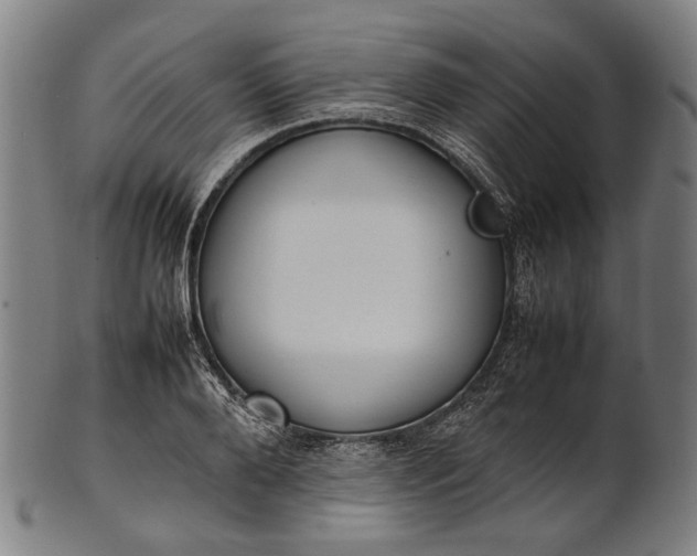 X0000101220888200807111054