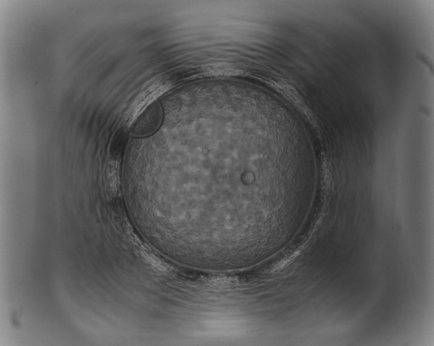 X0000101220889200807111054