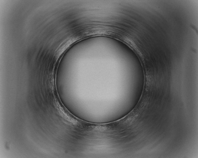 X0000101220890200807111054