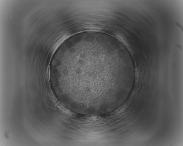 X0000101220891200807111054