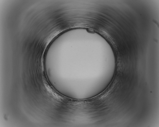 X0000101220892200807111054