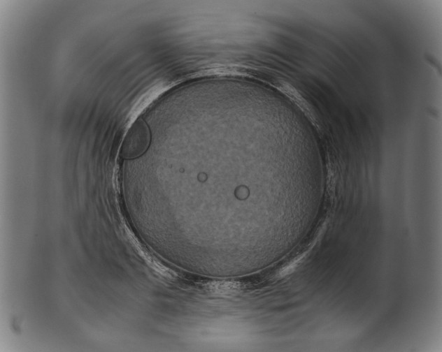 X0000101220893200807111054