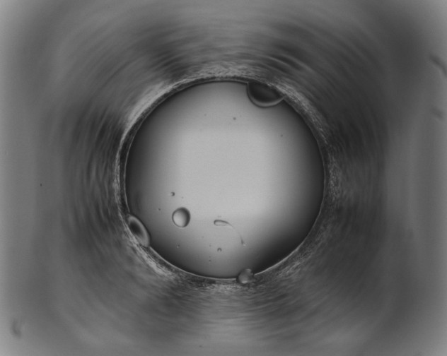 X0000101220894200807111054