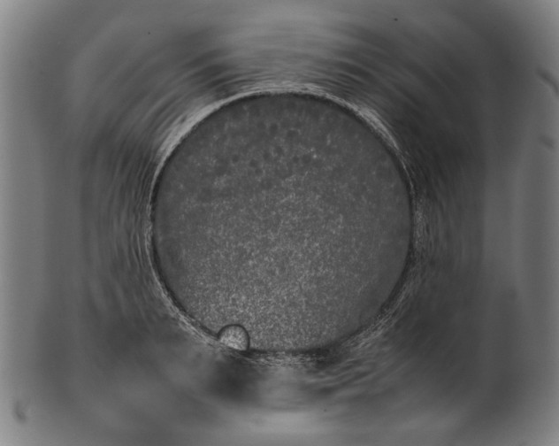 X0000101220895200807111054