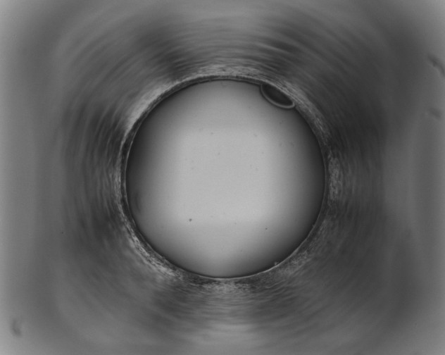 X0000101220896200807111054