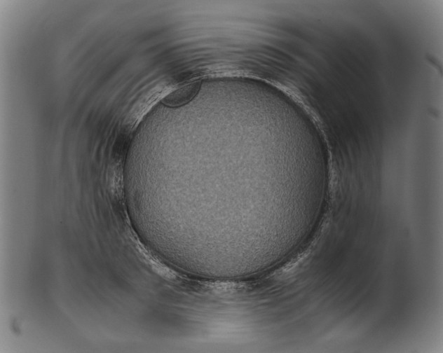 X0000101220897200807111054