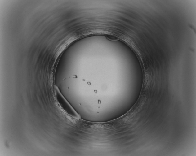 X0000101220898200807111054