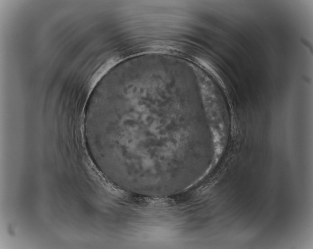 X0000101220899200807111054