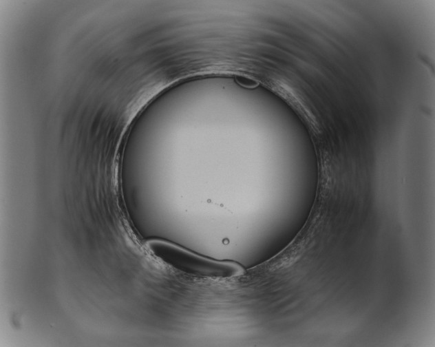 X0000101220900200807111054
