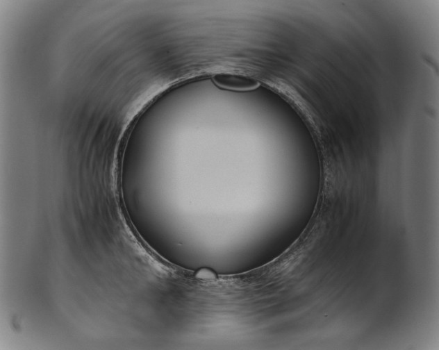 X0000101220902200807111054