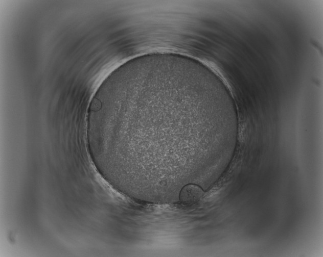 X0000101220903200807111054