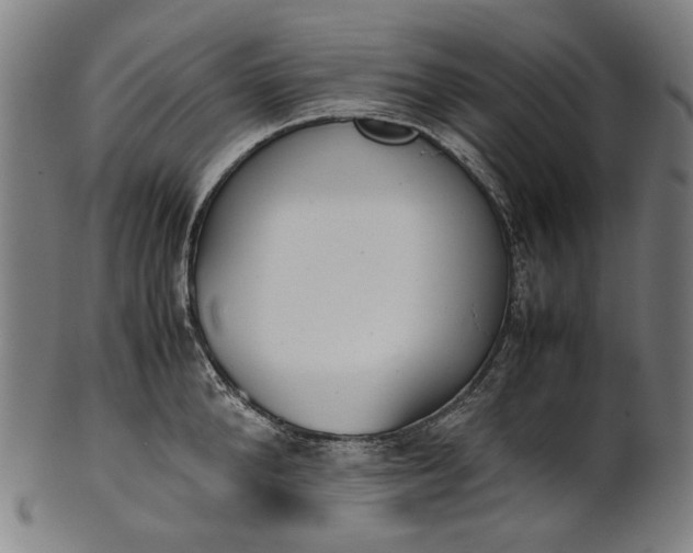 X0000101220904200807111054