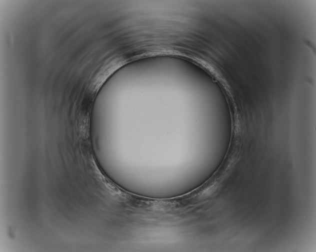 X0000101220905200807111054