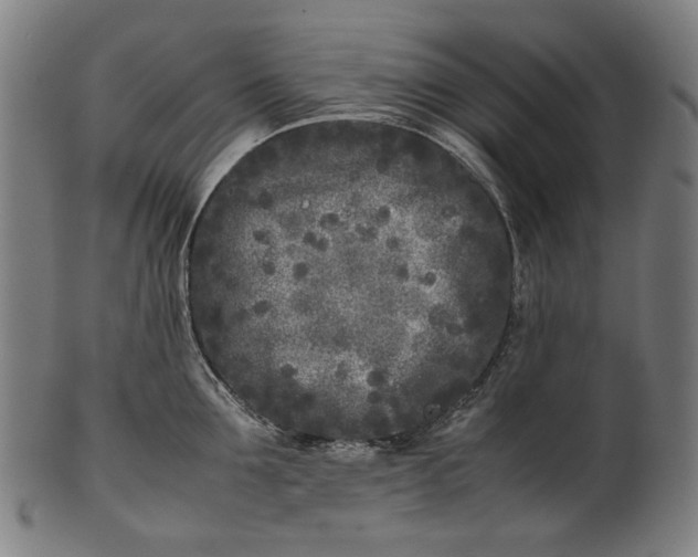 X0000101220907200807111054