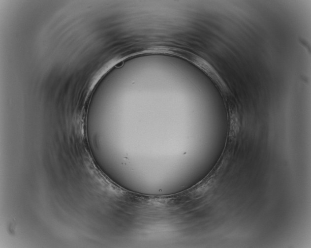 X0000101220908200807111053