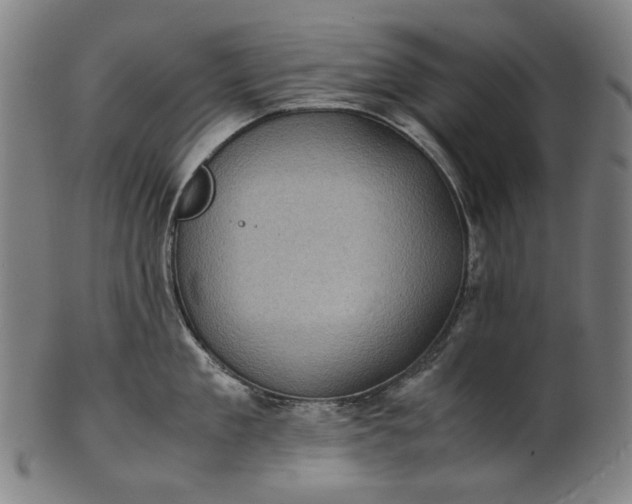 X0000101220909200807111053