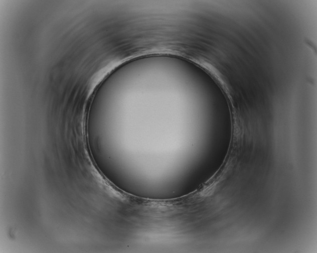 X0000101220910200807111053