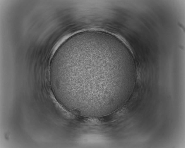 X0000101220911200807111053