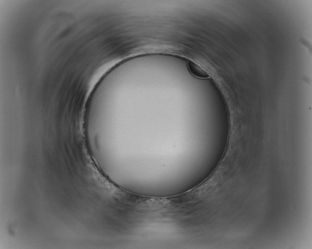 X0000101220912200807111053
