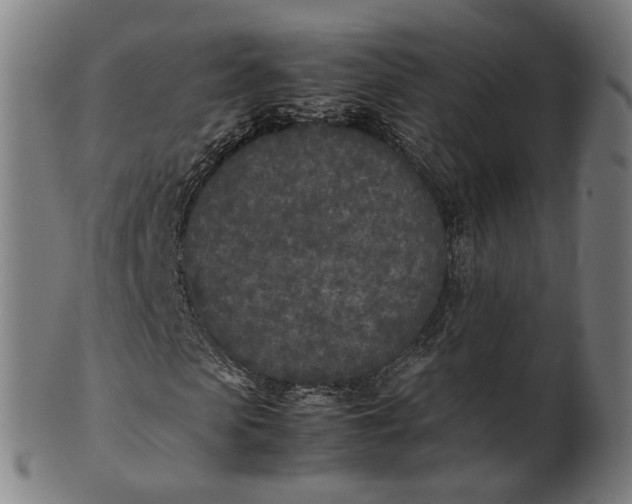 X0000101220913200807111053