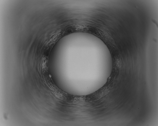 X0000101220914200807111053