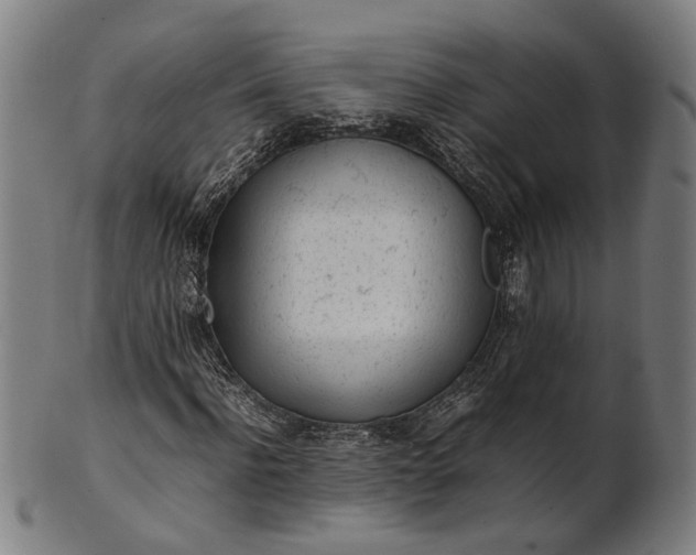 X0000101220916200807111053