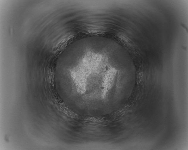 X0000101220917200807111053