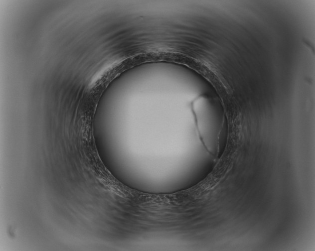 X0000101220919200807111053